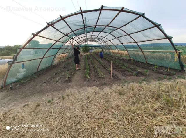 Холандско хале конструкция , снимка 6 - Складове - 47624110