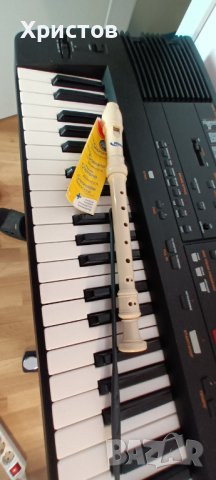 СВИРКА, снимка 5 - Духови инструменти - 39179816