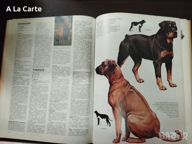 Енциклопедия Кинология, Породи кучета , снимка 7 - Специализирана литература - 49730485