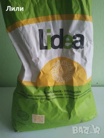 семе слънчоглед за сеuтба Lidea, снимка 3 - Сортови семена и луковици - 52837342