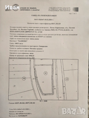 Два парцела с. Куцина и с. Петко Каравелово , снимка 3 - Парцели - 51806500