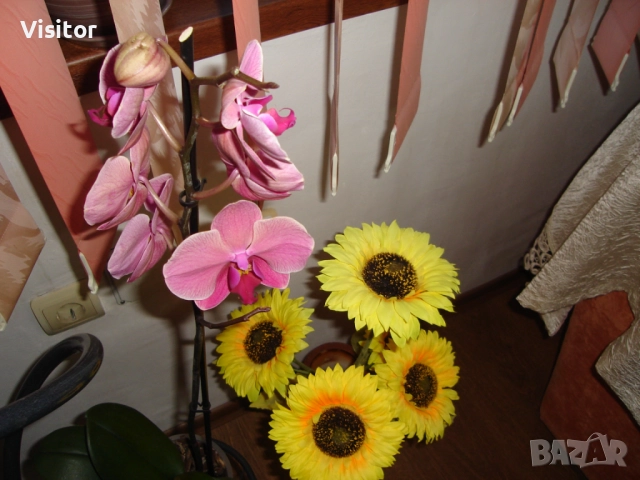 фотоапарат Sony Cyber-shot DSC-S40, снимка 10 - Фотоапарати - 51769173