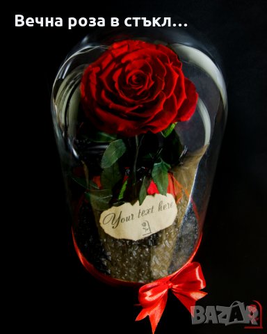 Вечна Роза (ЕСТЕСТВЕНА) в ГОЛЯМА стъкленица / Уникален подарък за рожден ден на жена, снимка 5 - Декорация за дома - 32673595