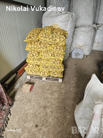 Картофи Сорая за консумация , снимка 2 - Домашни продукти - 52511378