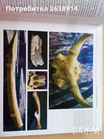 1250 Jahre Eggenstein Konrad Dussel, снимка 6 - Енциклопедии, справочници - 28766668