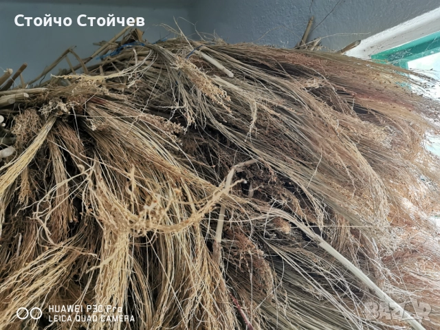 Продавам метлен клас - стара и нова реколта , снимка 3 - Индустриална техника - 52130527