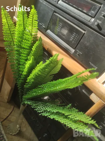 Папрат изкуствен 60 см.2 бр.за 20лв