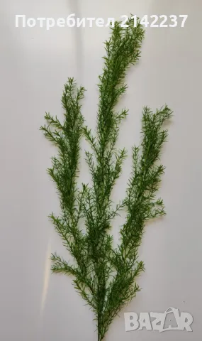 Изкуствени висящи растения, снимка 9 - Изкуствени цветя - 47466813