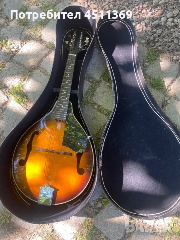 Мандолина , снимка 1