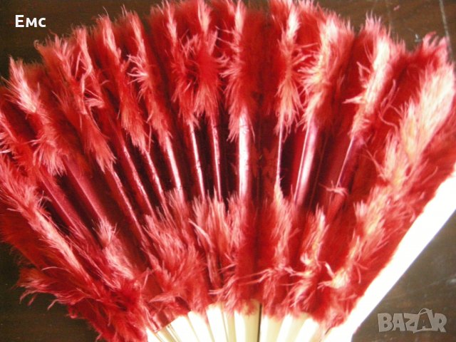 Старо ветрило с пера, снимка 7 - Антикварни и старинни предмети - 28369534