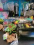 Продавам аквариуми риби аксесоари, снимка 5