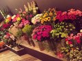 Вази за цветя - за цветарски магазини (цени и размери са посочени в текса), снимка 4