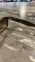 Слънчеви очила Rayban RB2132, снимка 5