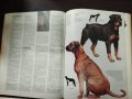 Енциклопедия Кинология, Породи кучета , снимка 7
