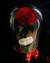 Вечна Роза (ЕСТЕСТВЕНА) в ГОЛЯМА стъкленица / Уникален подарък за рожден ден на жена, снимка 5