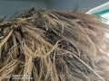 Продавам метлен клас - стара и нова реколта , снимка 3