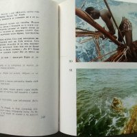 Ра - Тур Хейердал - 1972г. Библиотека"Нептун" , снимка 5 - Други - 40775133