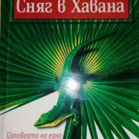 Сняг в Хавана. Изповедта на едно кубинско момче- Карлос Ейре, снимка 1 - Художествена литература - 37180858