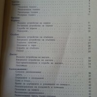 Горска ботаника от Никола Пенев-1940 г. / Горска патология от Д.Атанасов-1939 г. (2 редки издания), снимка 3 - Специализирана литература - 33288398