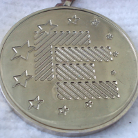Стар медал 2005 г. Футбол I място, снимка 2 - Колекции - 44910079