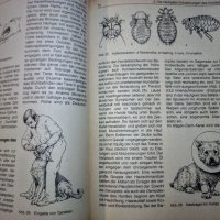 "Енциклопедия на кучето"-Германия, снимка 12 - Специализирана литература - 33458448