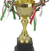 Масивна купа 29 см върху черна основа и панделки с цветовете на българския трикольор. Трофейната куп, снимка 1 - Колекции - 29039659