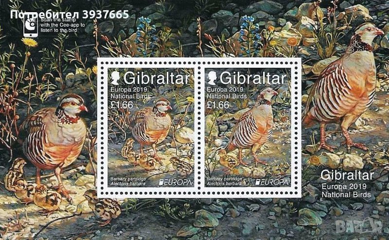 Гибралтар 2019 Европа CEПT (**) "Национални птици" Блок, чист, снимка 1