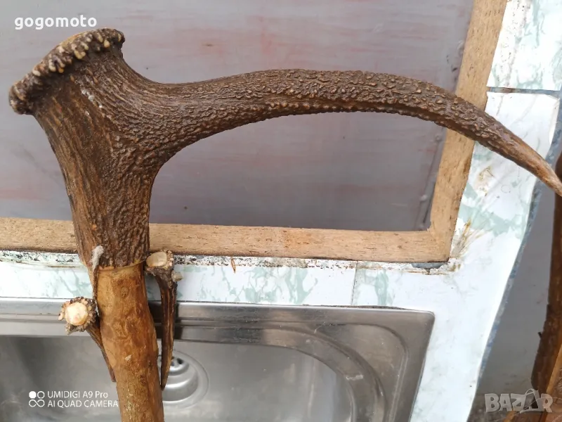 тояга, бастун, уникат, ръчна изработка,стар, старо, арт, естествен рог,made in GERMANY, HAND MADE, снимка 1