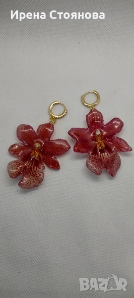 Обеци с естествен цвят на мини орхидея Miltonia. Цветче с размери 5/4,5 см. , снимка 1