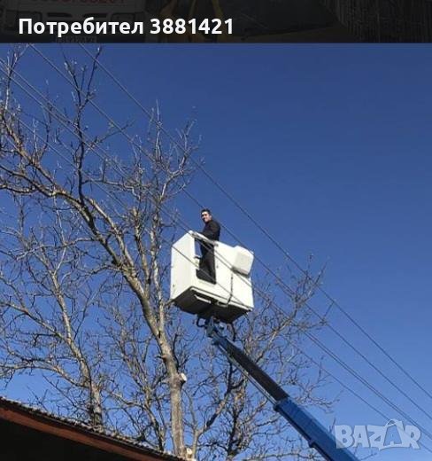 Изрязване на опасни клони, снимка 1