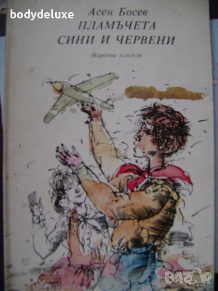 Асен Босев "Пламъчета сини и червени", снимка 1