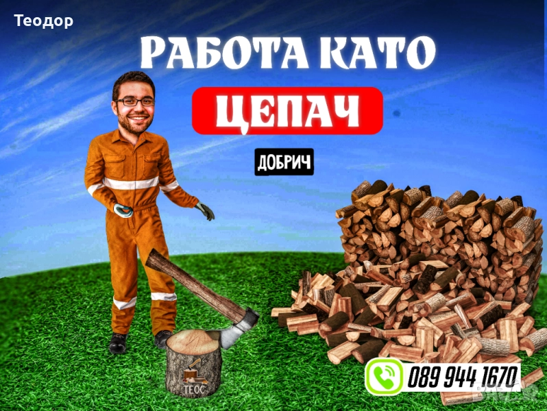 Работа като цепач/товарач на борса за дърва, снимка 1