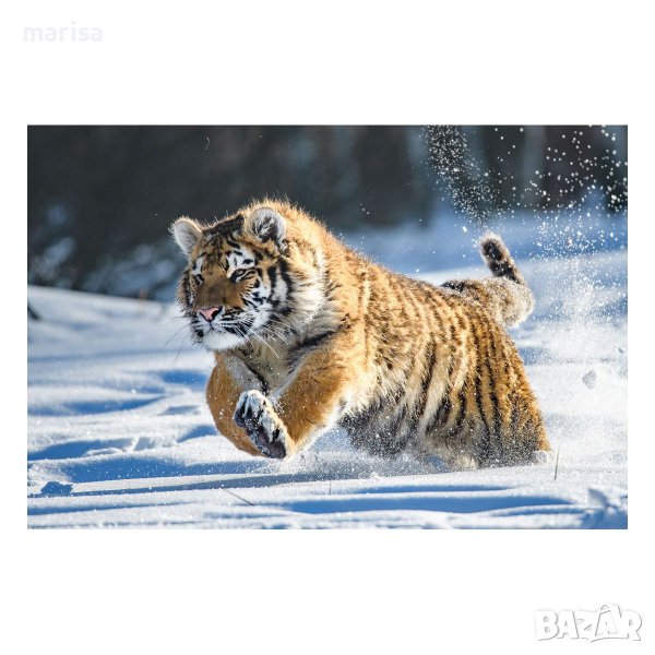 Пъзел Тигър в снега, 200 части Код: 02000701, снимка 1