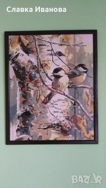 Картина в рамка - 50*40 /6 различни броя/, снимка 1