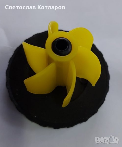 капачка временна , снимка 1