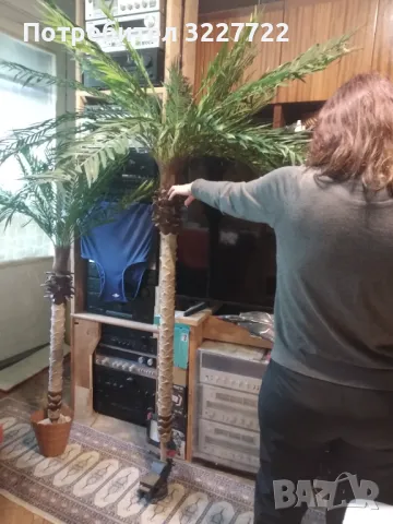 Изкуствена палма като истинска