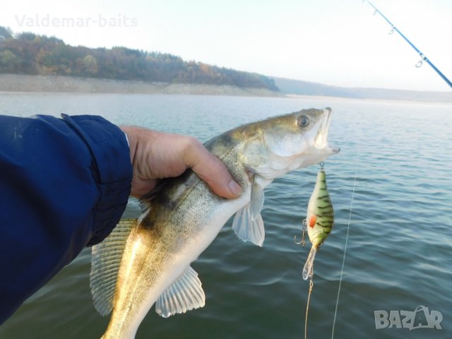 Воблер PERSH (костур ) на valdemar-baits, снимка 6 - Такъми - 26591153