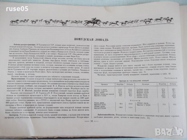 Книга "Альбом пород лошадей СССР - С.В.Афанасьев" - 186 стр., снимка 5 - Специализирана литература - 33202704