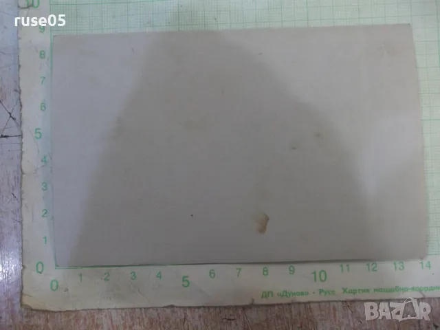 Снимка стара на група младежи с две жени в носии, снимка 2 - Колекции - 47910503