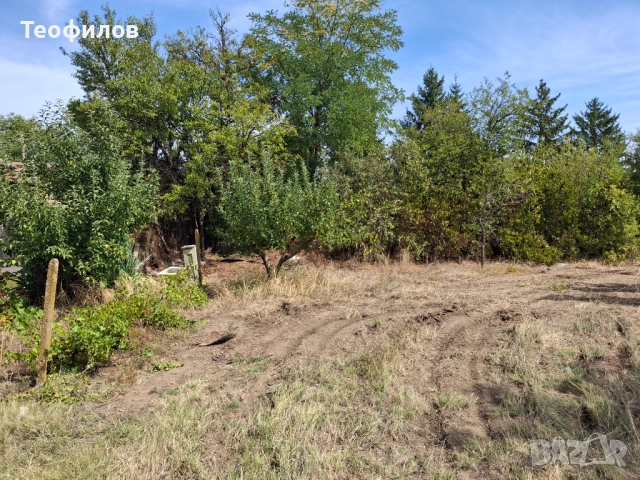 Имот с. Майор ценивич, снимка 3 - Къщи - 51625670