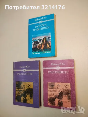 Господаря на Балантрей. Зимна приказка - Робърт Луис Стивънсън, снимка 3 - Художествена литература - 50109097