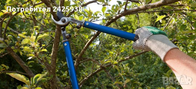 Градинарски услуги