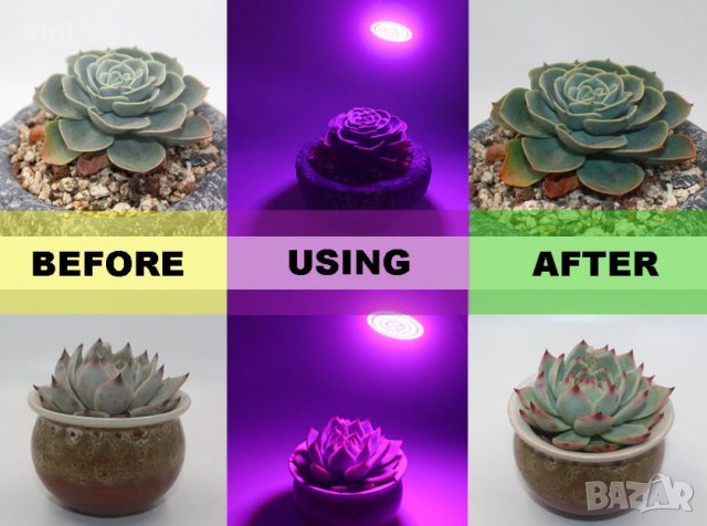 Растеж на растенията LED фито лампа крушка  5W 220V E27, снимка 4 - Стайни растения - 27633708