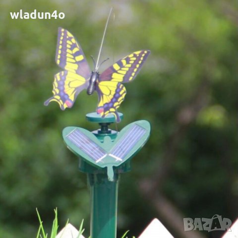 Соларни ПЕПЕРУДИ,КОЛИБРИ.Лалета-8лв/9лв/10лв, снимка 4 - Градински цветя и растения - 14365224