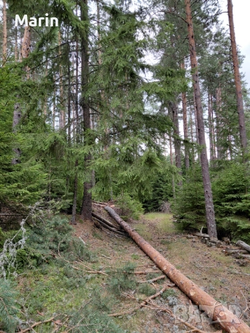 Копувам Гори 