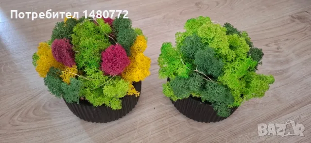 Светеща кашпа със скандинавски мъх , снимка 11 - Декорация за дома - 48169980