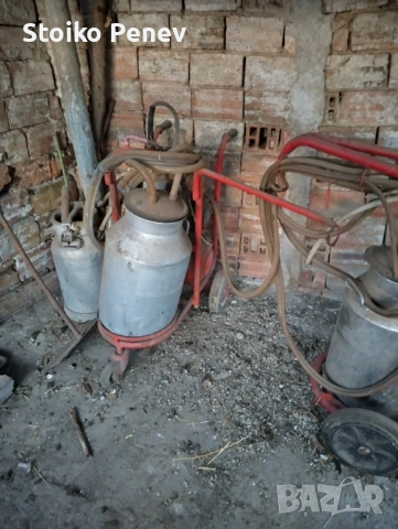 Капан за доене на овце, снимка 5 - Овце - 53140327