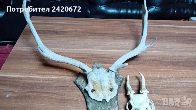 за декор, снимка 3 - Декорация за дома - 52823575