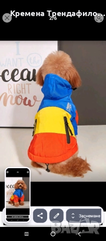 Ватирано яке за куче, снимка 3 - За кучета - 52230661