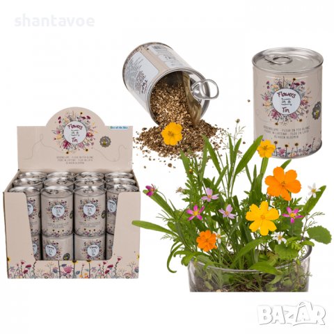 Цветя в кенче с пръст и семена